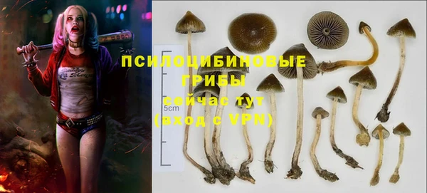 первитин Зеленодольск