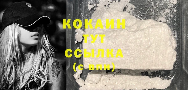 стаф Зерноград
