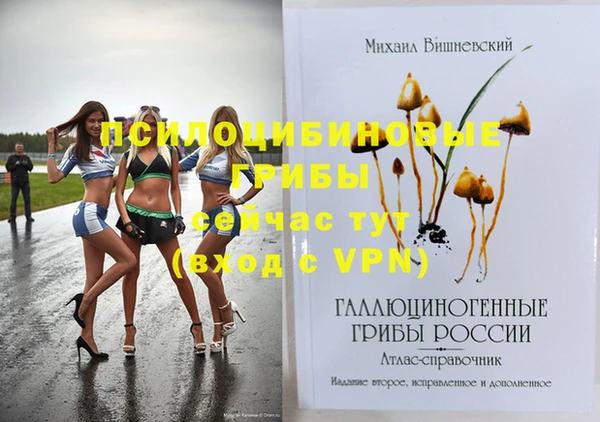 стаф Зерноград