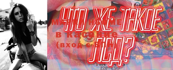 стаф Зерноград
