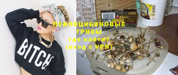 стаф Зерноград