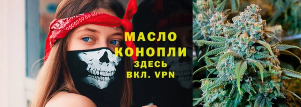 стаф Зерноград