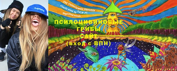 стаф Зерноград
